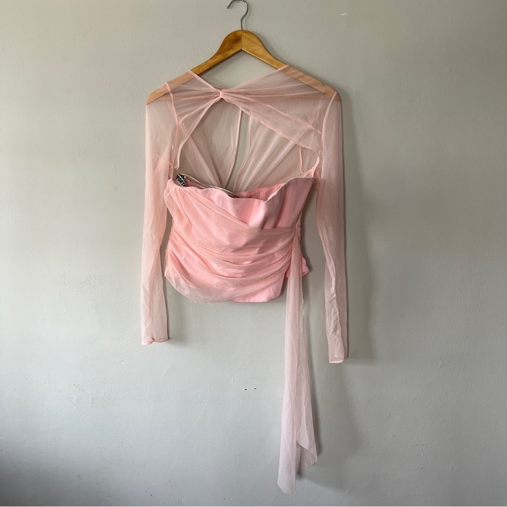 Sheer Mesh Long Sleeve Pink Corset Top - Picture 2 of 9